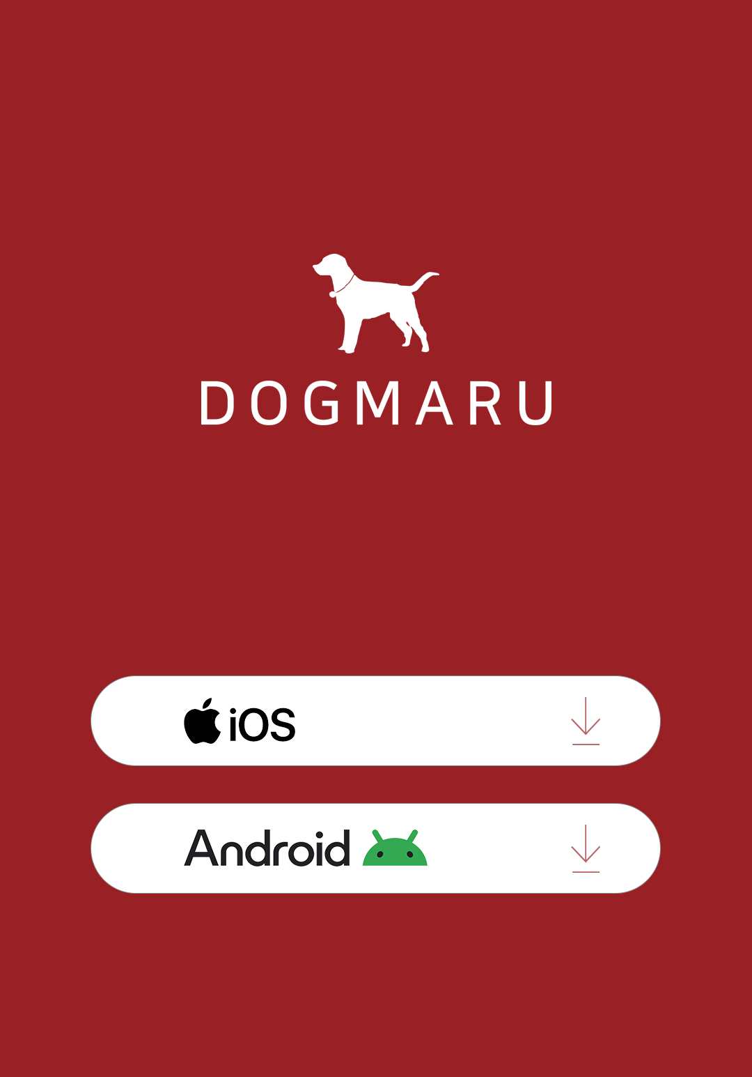 DOGMARU 앱 다운로드