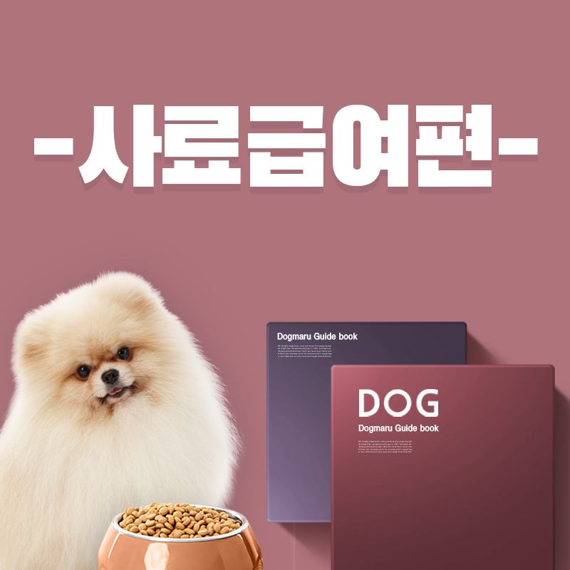 반려생활 가이드 - 사료급여편