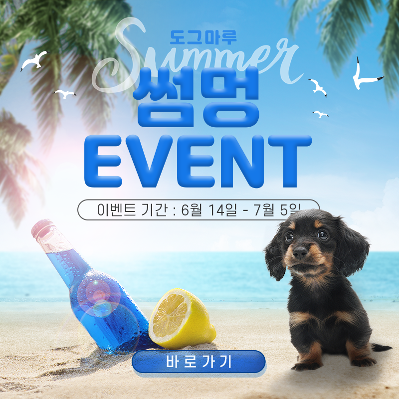 ★도그마루 썸멍 이벤트★