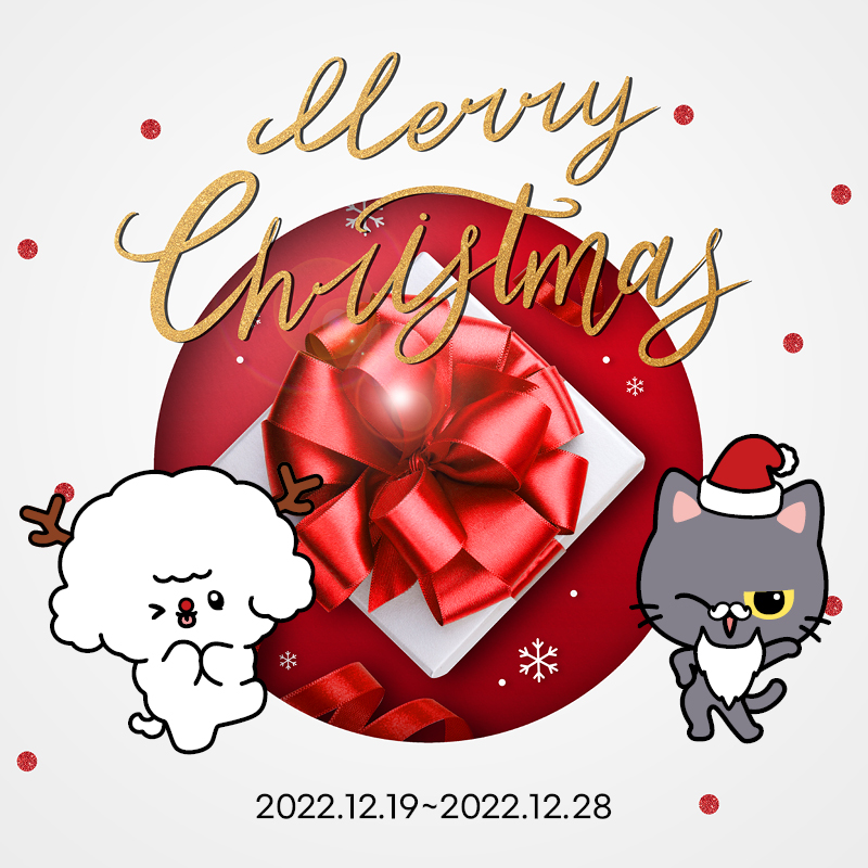 🎄도그마루 크리스마스 이벤트🎅