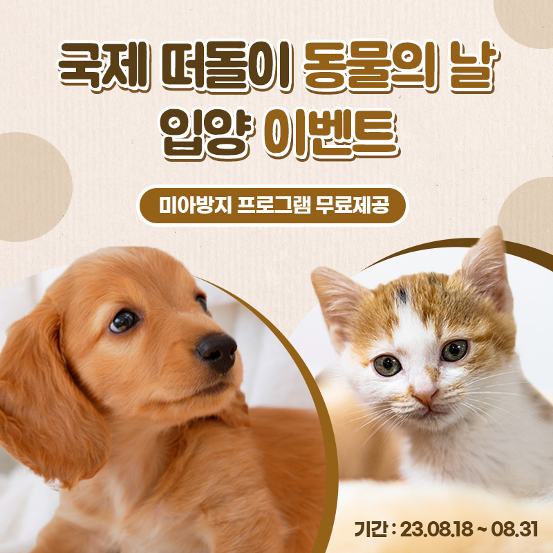 👪국제 떠돌이 동물의 날 알리기 이벤트🐶