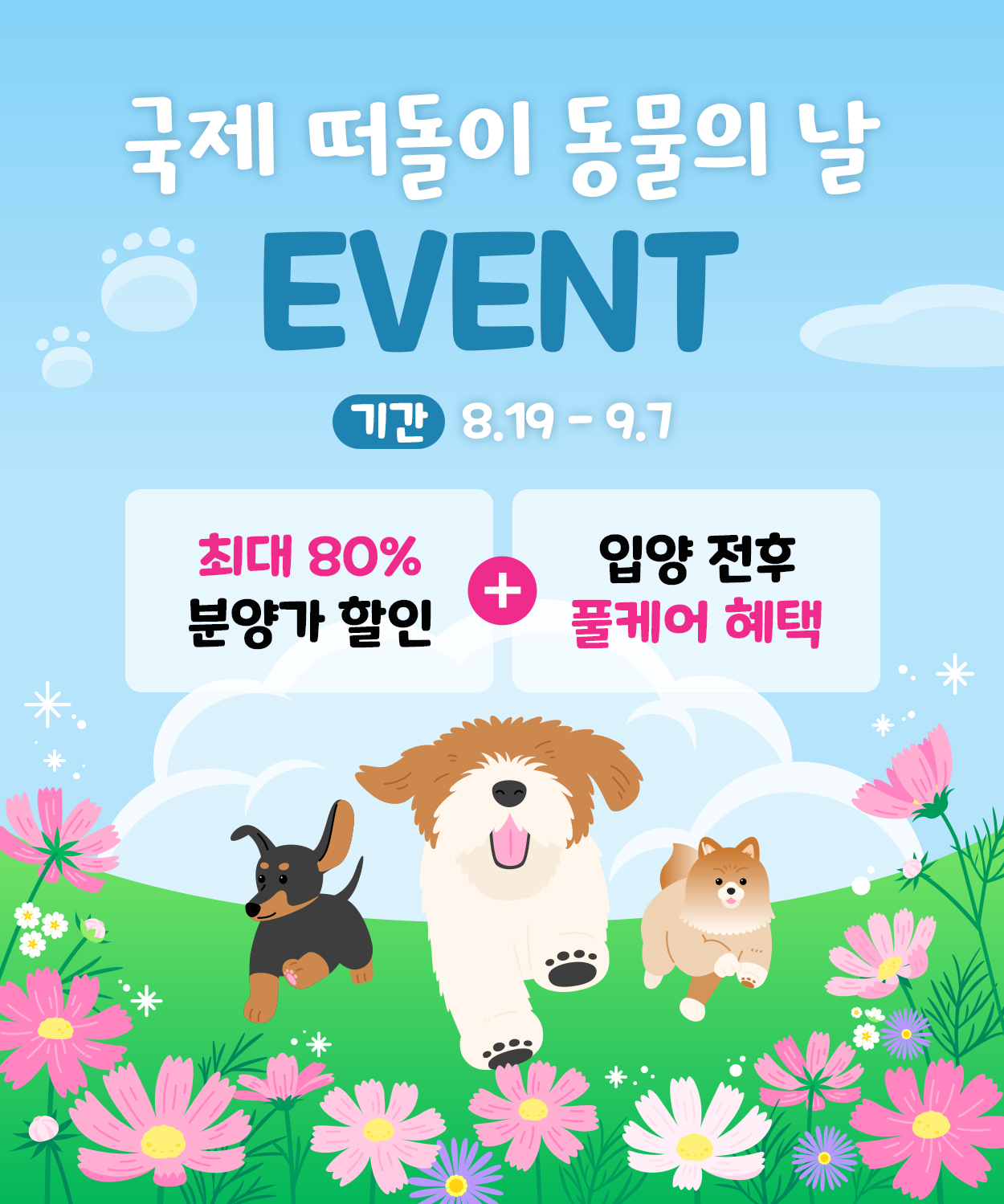 🐶국제 떠돌이 동물의 날 이벤트🐱