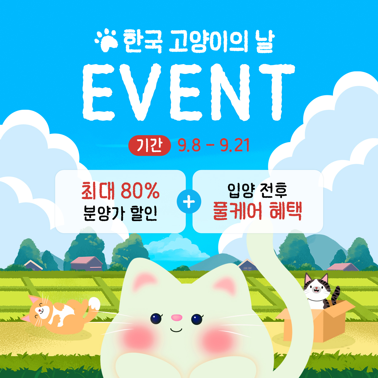 🐱한국 고양이의 날 이벤트😻
