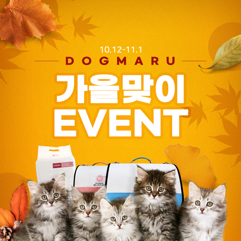 ★도그마루 가을맞이 이벤트★