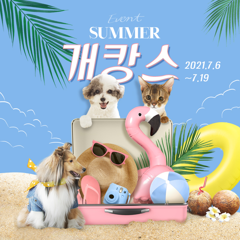 ★도그마루 개캉스 이벤트★