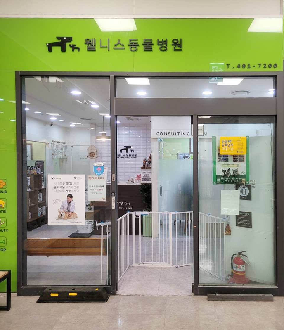 웰니스 동물병원