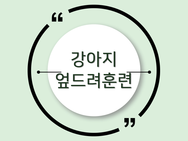 강아지 엎드려훈련, 어렵지 않아요