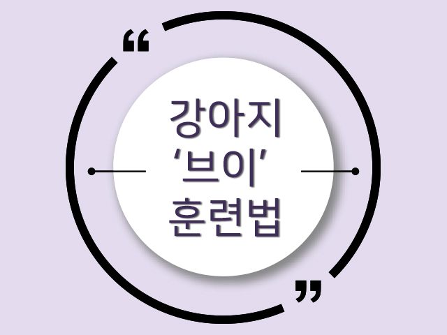 사랑스러움의 끝! '브이' 훈련 어떻게 하는 걸까?