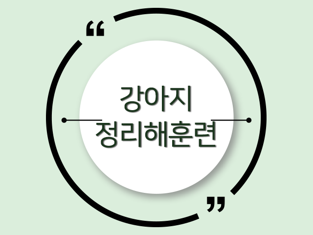 놀고 스스로 정리하는 강아지 '정리해' 훈련!