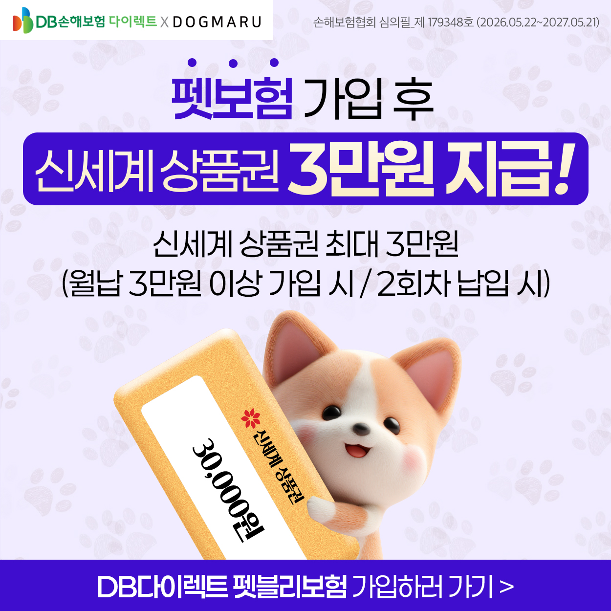 🐶도그마루 X DB손해보험 펫보험 제휴🐱