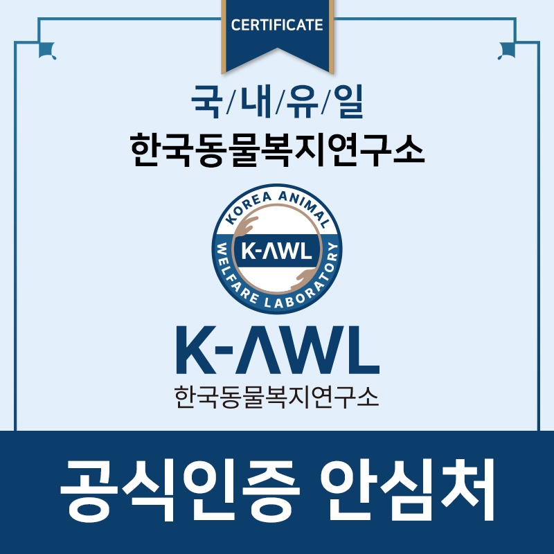 한국동물복지연구소