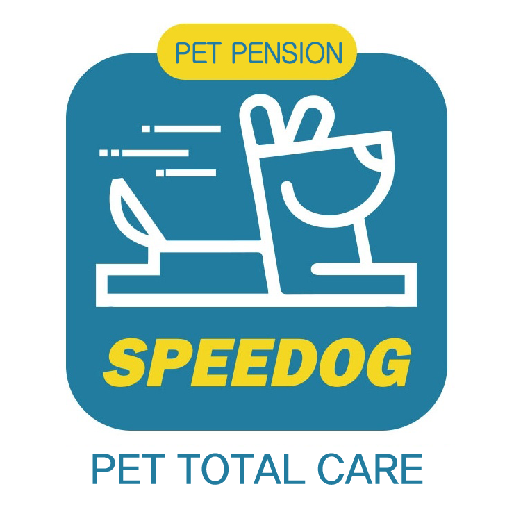 에버그린 & 파인트리펜션