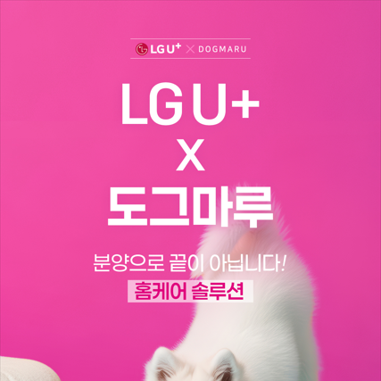 LG U+ 홈캠