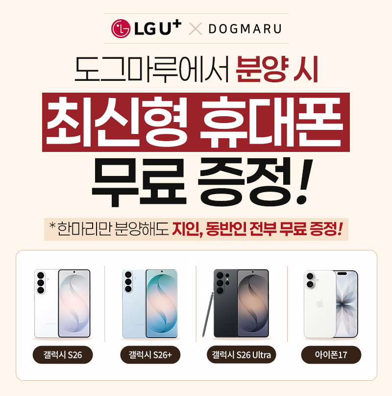 LG U+ 최신폰 무료 증정