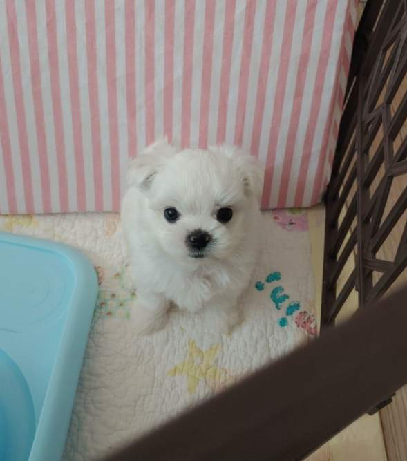오*성님 후기