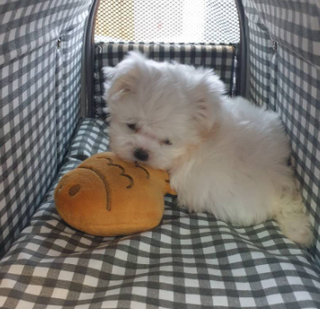 김*전님 후기