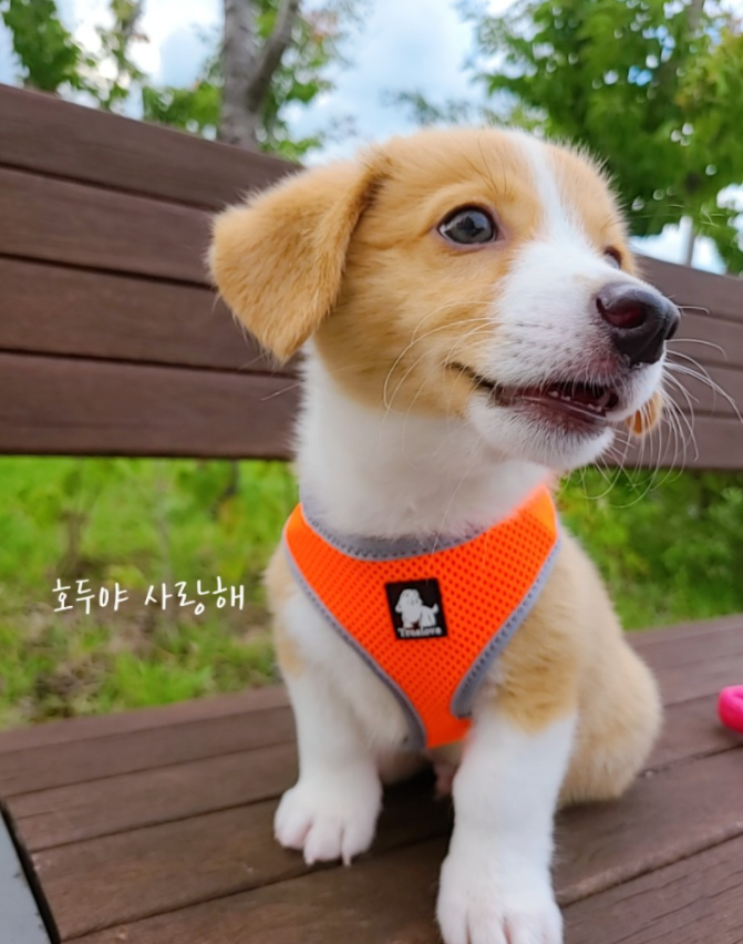 김*현님 후기