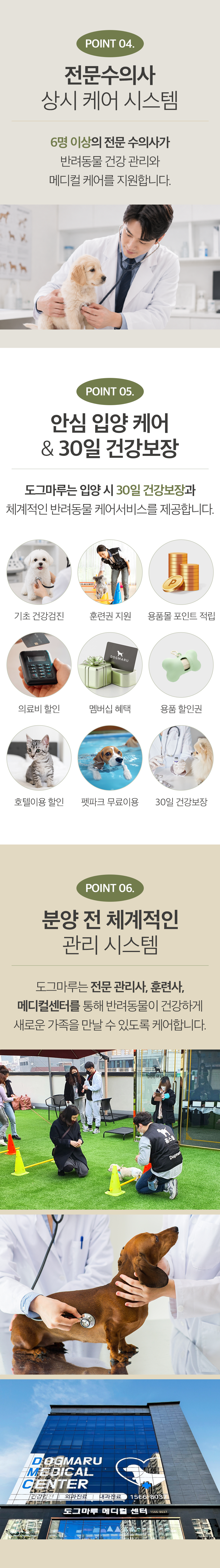 안심입양센터