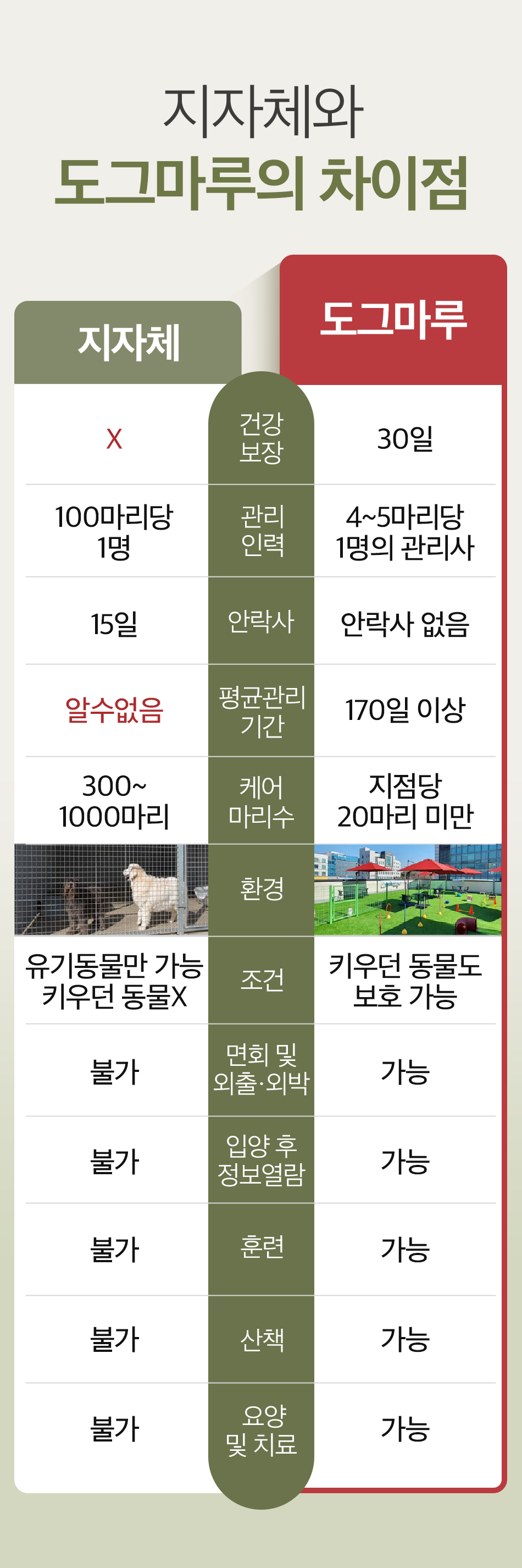 안심입양센터