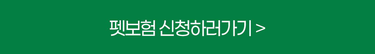 펫보험