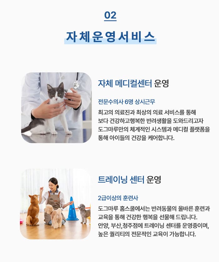 분양절차