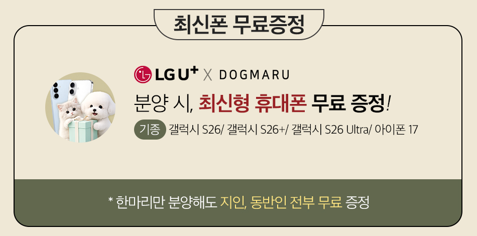 할인혜택