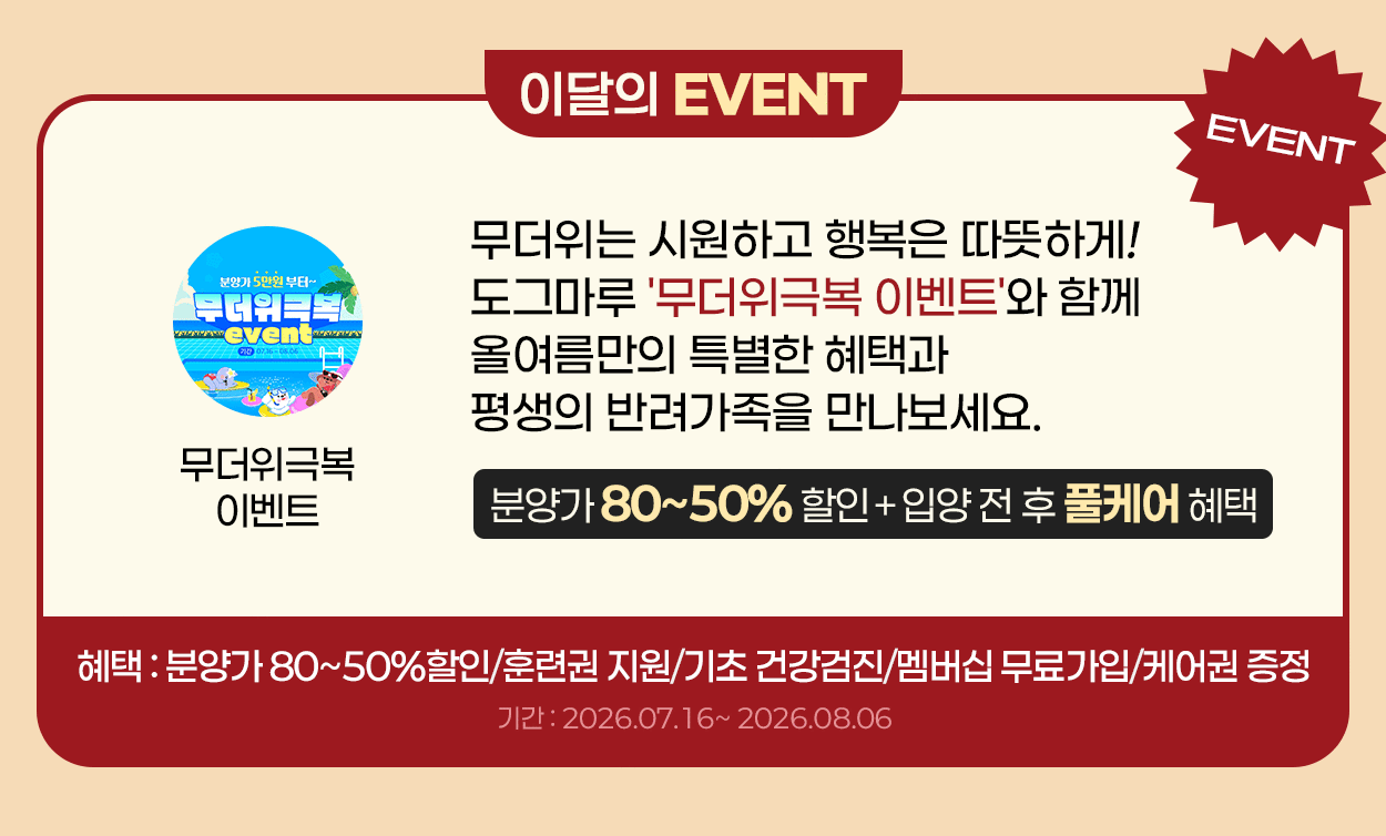 할인혜택