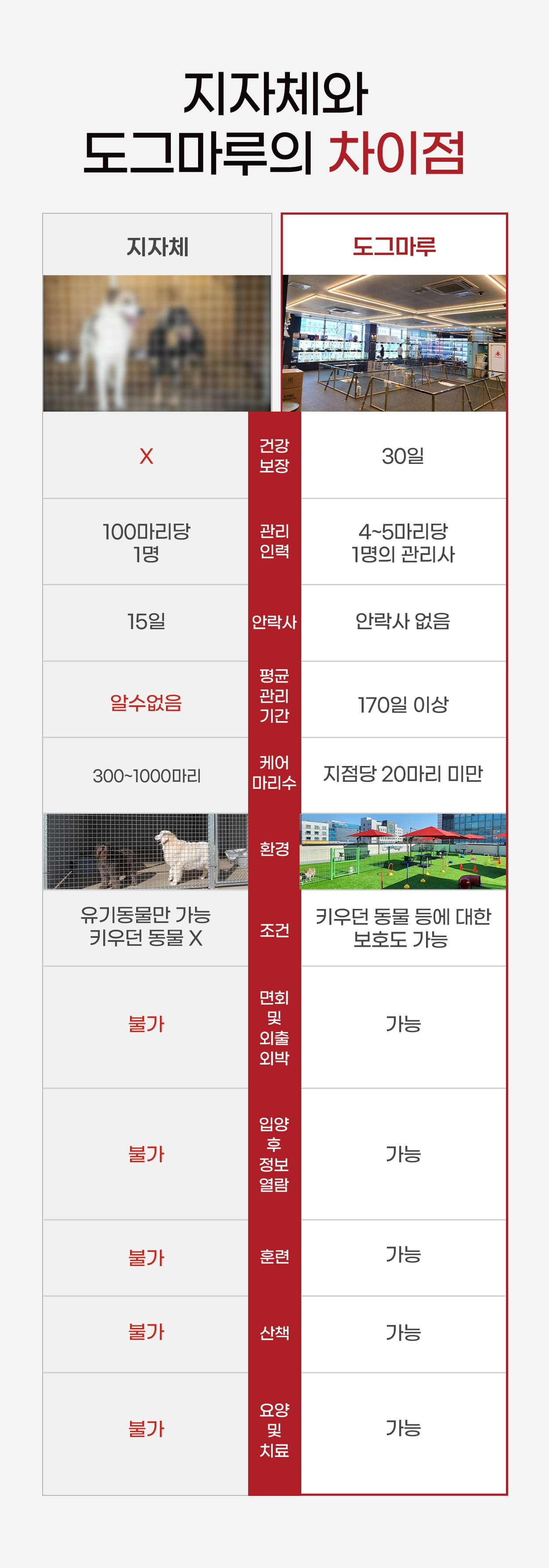 도그마루선택이유