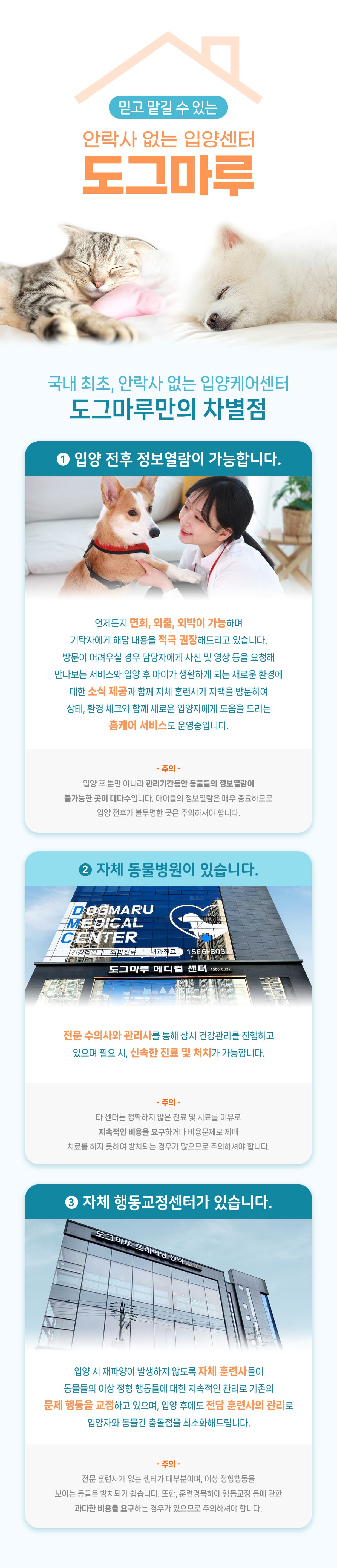도그마루선택이유