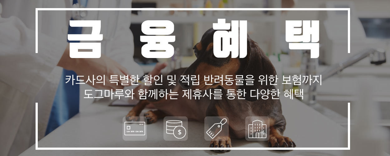 제휴등록