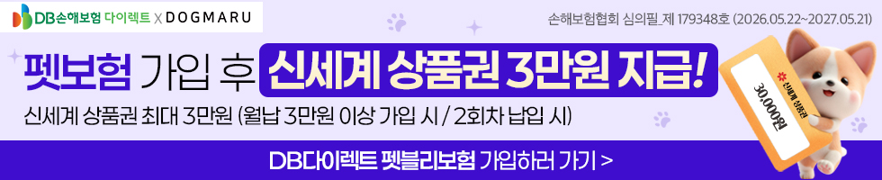 DB손해보험 배너