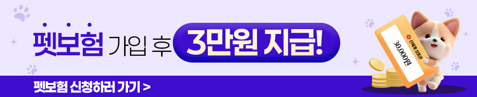 DB손해보험 배너