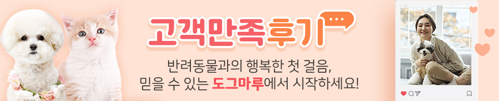 고객리뷰 인증 이벤트